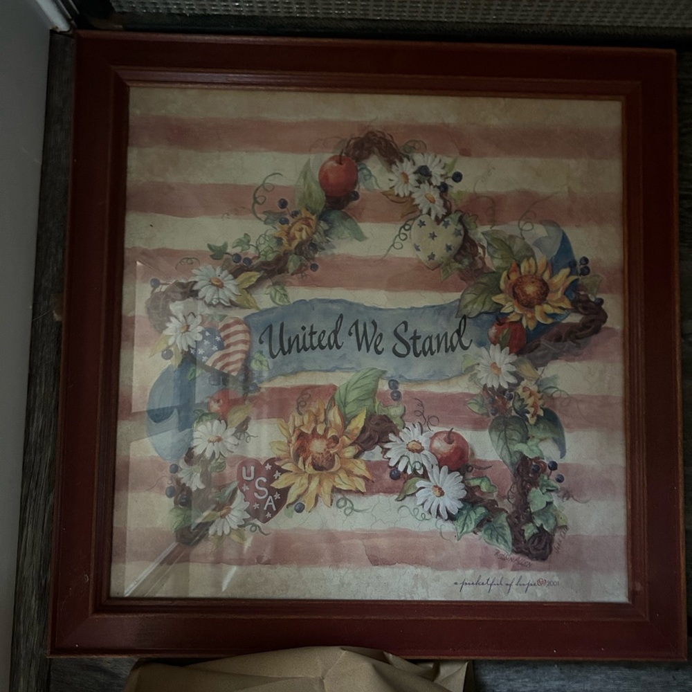 Home Interior pictures vintage “united we stand”,, Patriotic Americana